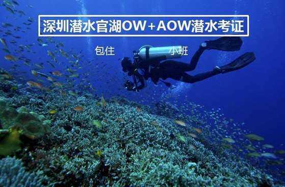 泛亚电竞网站